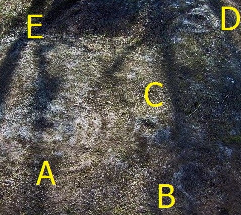 Petroglifos da Ermida en Eiras