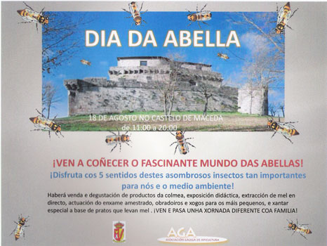 dia da abella castelo de maceda