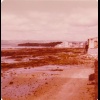 Sin paseo